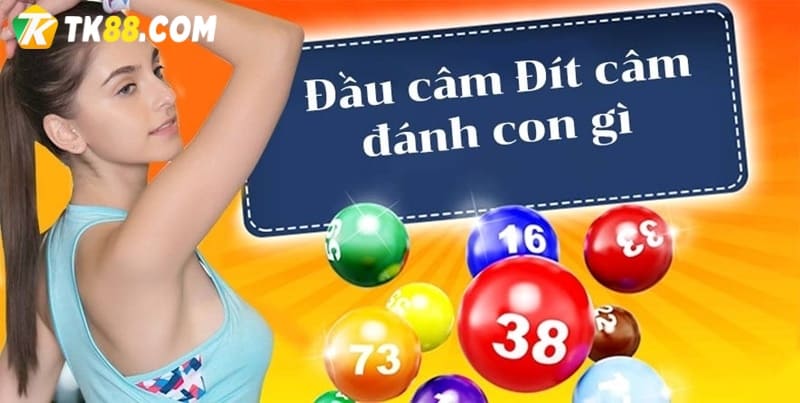 Soi cầu lô đề bạc nhớ loto theo đầu đuôi câm